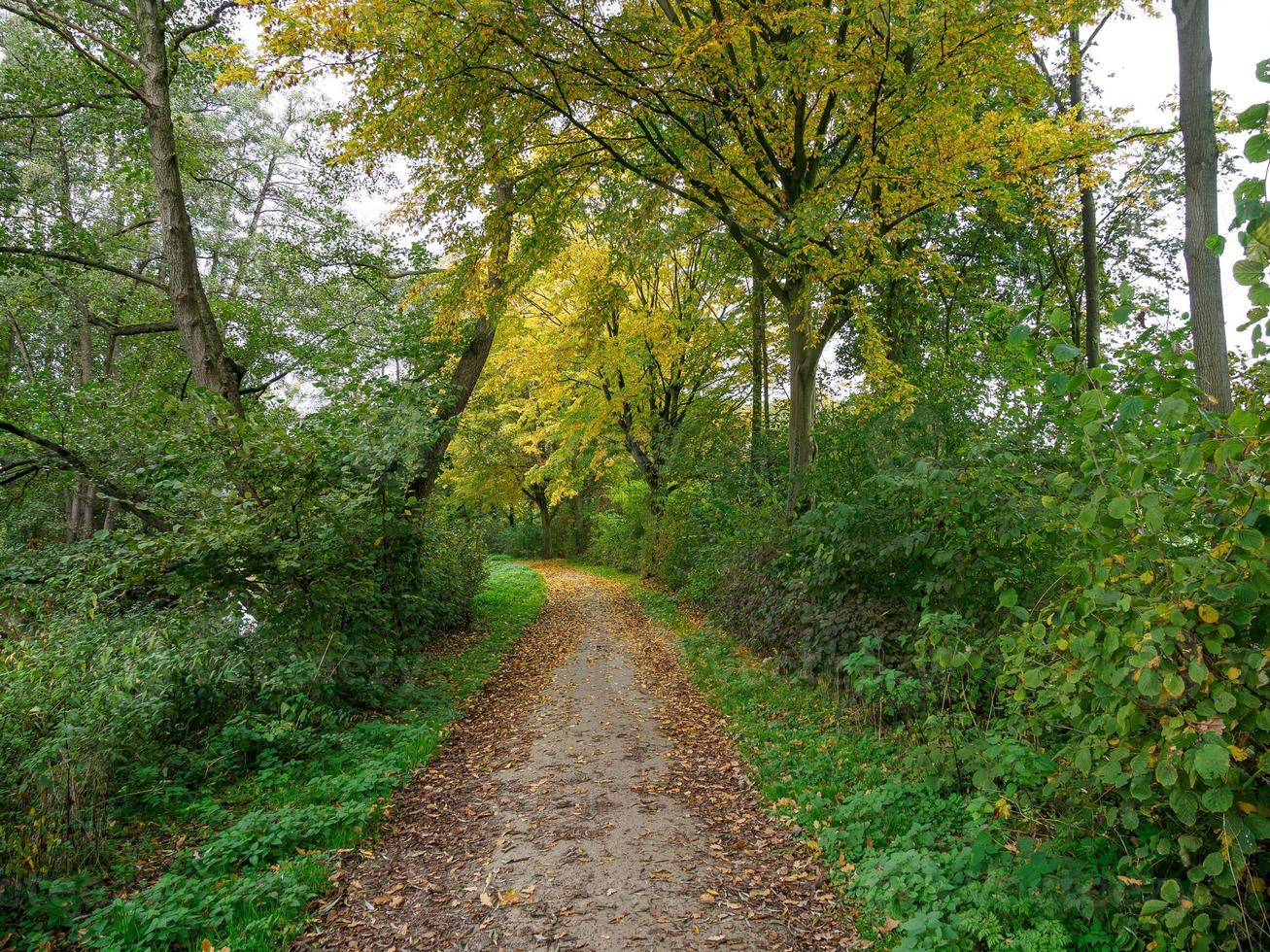 herfst tijd Bij een rivier- in Duitsland foto