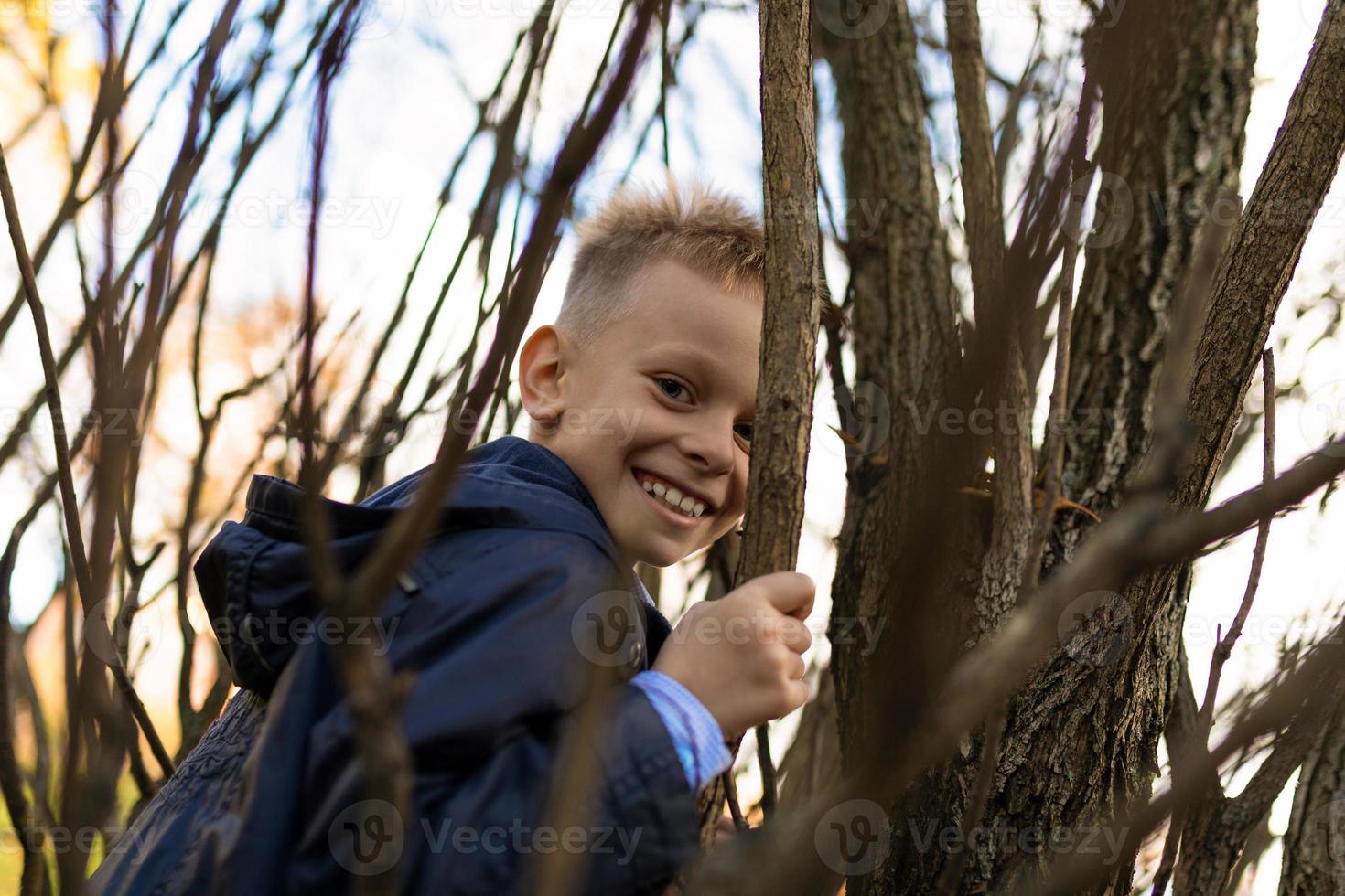 portret van een vrolijk jongen bijeenkomst Aan een boom tussen takken foto