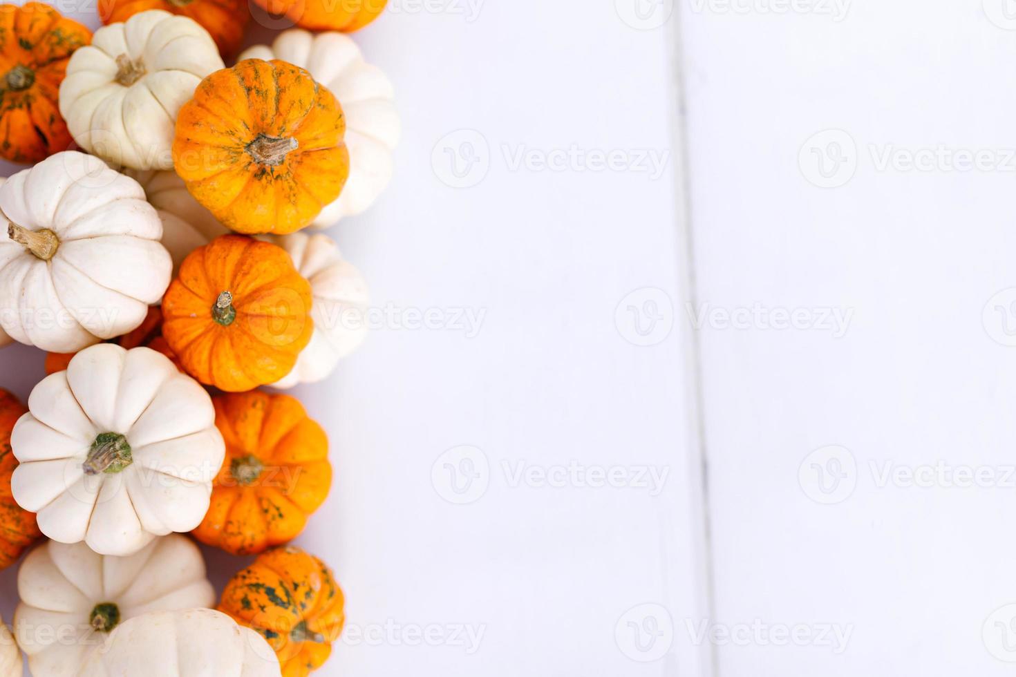 herfst decoratie Aan wit met kopiëren ruimte. val, halloween, dankzegging foto