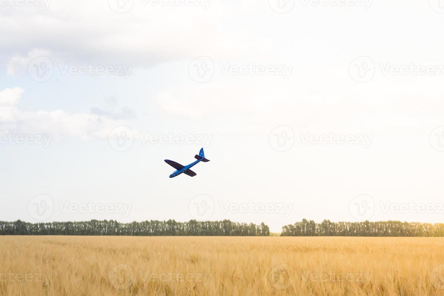 vlak valt in veld- foto