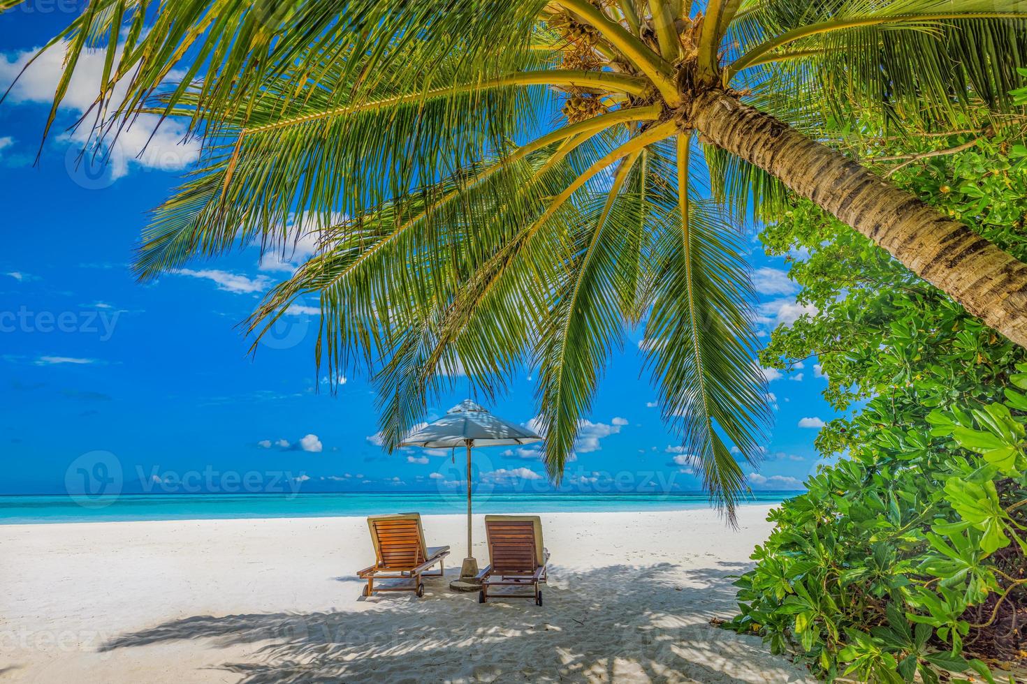 zomer vakantie strand, reizen toneel. detailopname paar stoelen paraplu onder palm bomen, bladeren. zee zand lucht, idyllisch recreatief landschap. zonnig mooi tropisch eiland landschap. verbazingwekkend paradijs foto