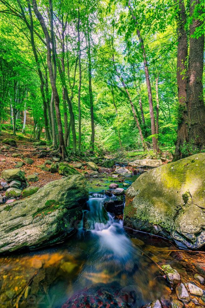 watervallen Aan Doorzichtig kreek in Woud. zomer berg stroom landschap, zacht zonlicht. wandelen en reizen buitenshuis avontuur bos, kalmte kreek. sereen natuur detailopname, rotsen, mos vers groen bomen foto