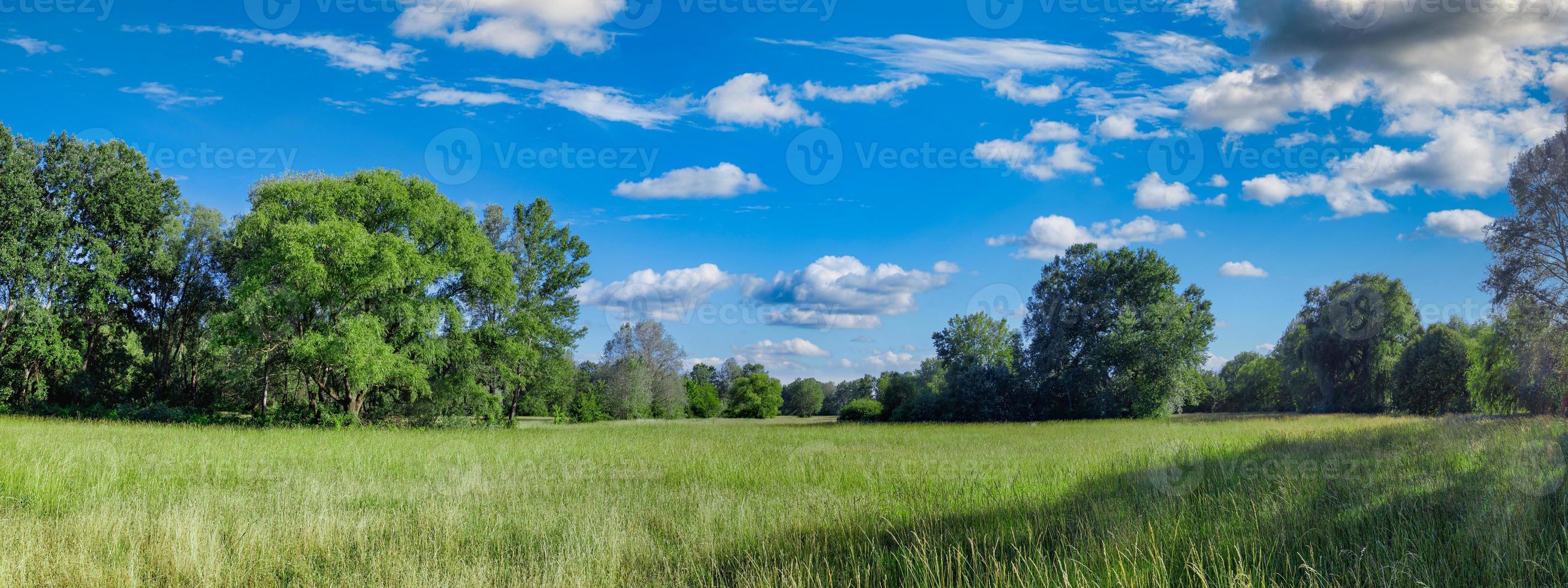 idyllisch berglandschap met frisse groene weiden en bloeiende wilde bloemen. idyllische natuur uitzicht op het platteland, landelijk buiten natuurlijk uitzicht. idyllische banner natuur, panoramisch lente zomer landschap foto