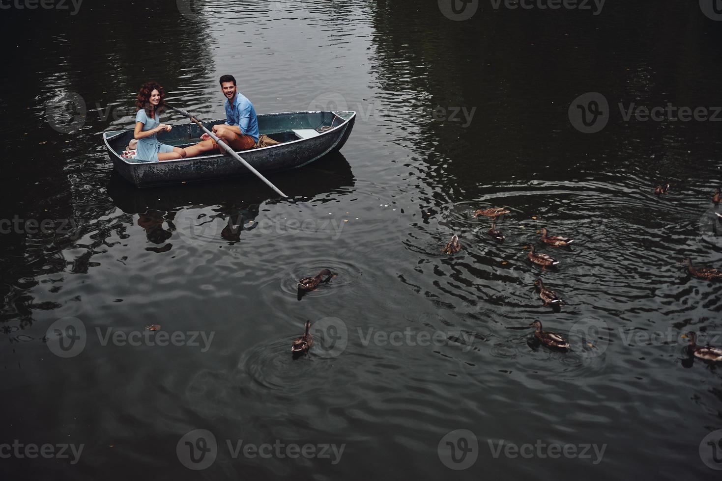 zo gelukkig top visie van mooi jong paar voeden eenden terwijl genieten van romantisch datum Aan de meer foto