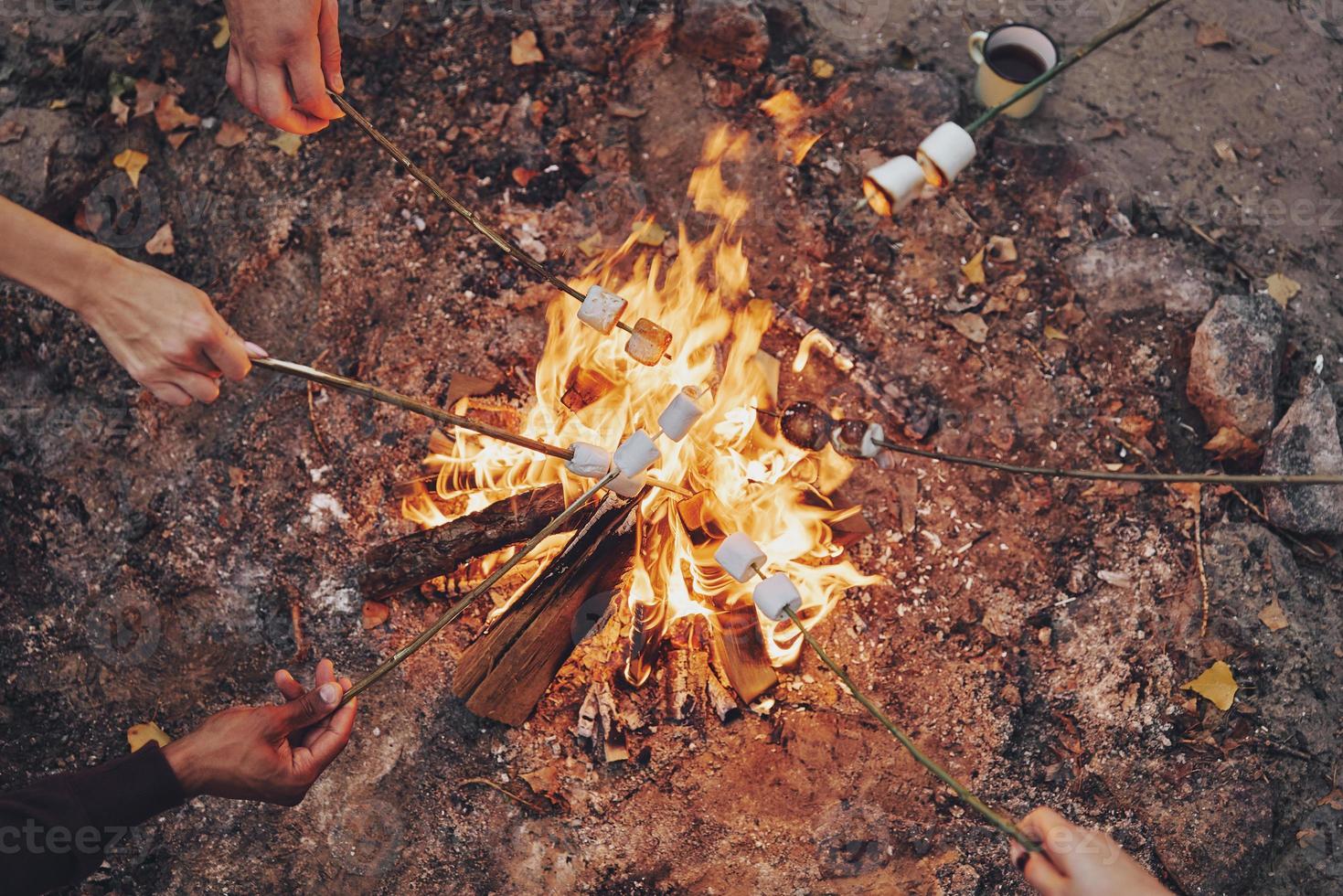 Koken favoriete voedsel. dichtbij omhoog top visie van jong mensen roosteren marshmallows over- een vreugdevuur terwijl camping buitenshuis foto