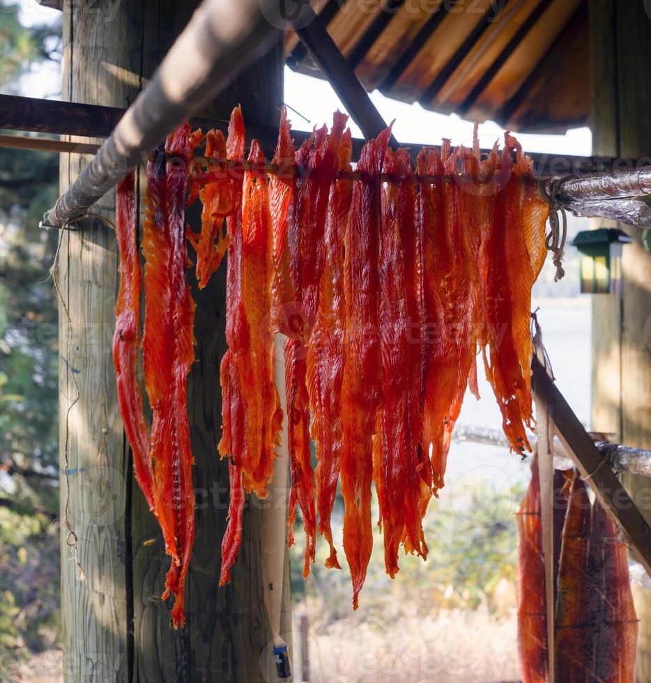 rij van koning zalm visvlees drogen in native american lodge foto