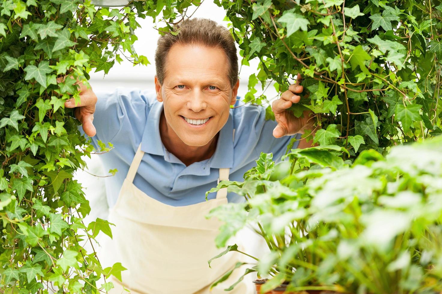 gelukkig tuinman. knap volwassen Mens op zoek door planten en glimlachen foto