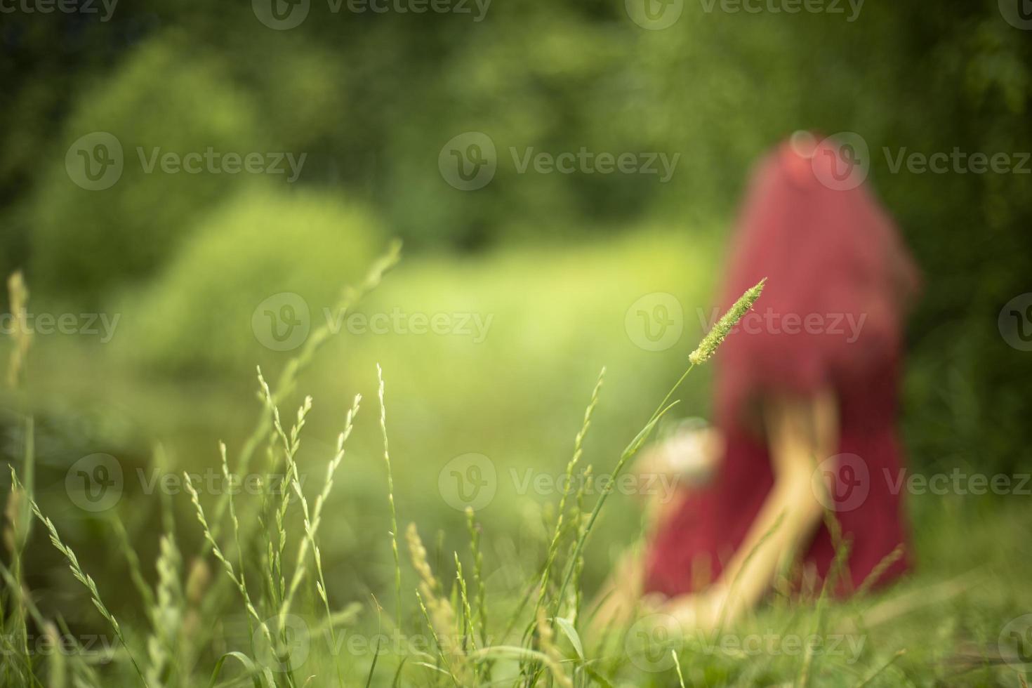 meisje Aan meer. vrouw Aan natuur. vakantie in park. foto