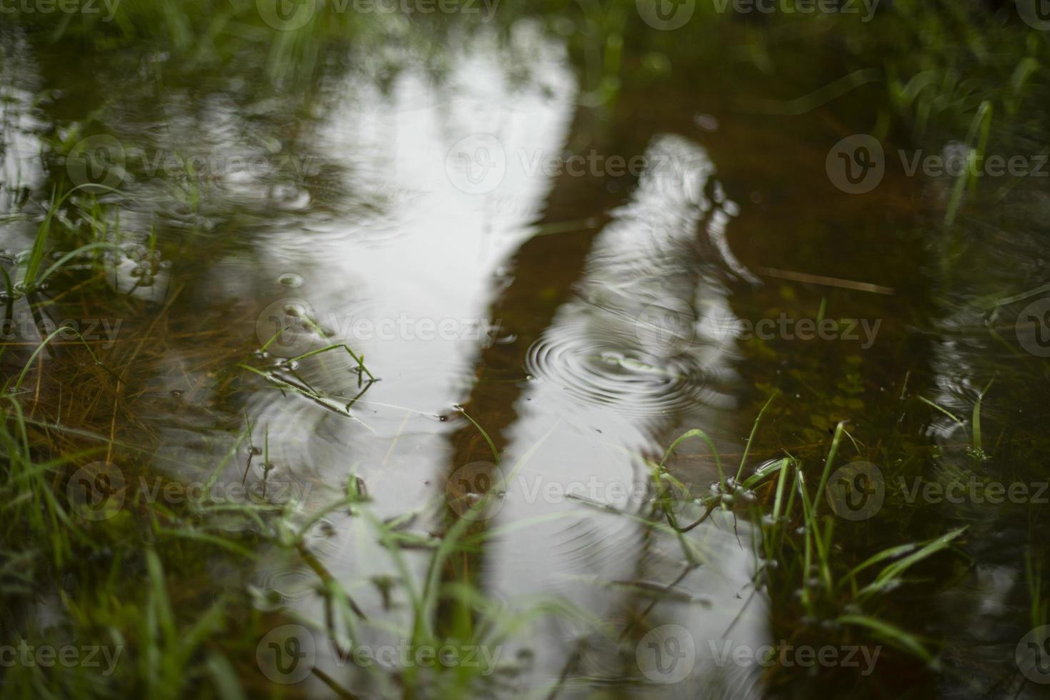 water in de lente. plas in park. details van natuur. structuur van water. foto