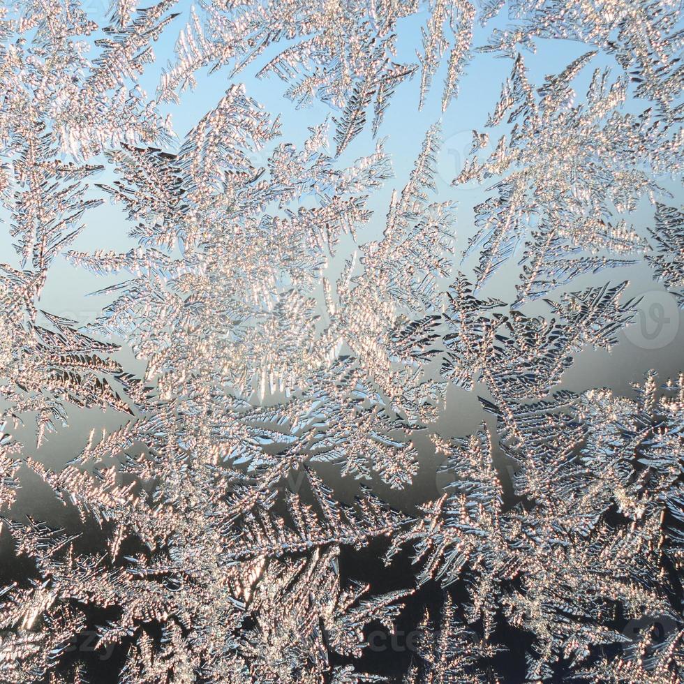 sneeuwvlokken vorst rijmen macro Aan venster glas deelvenster foto