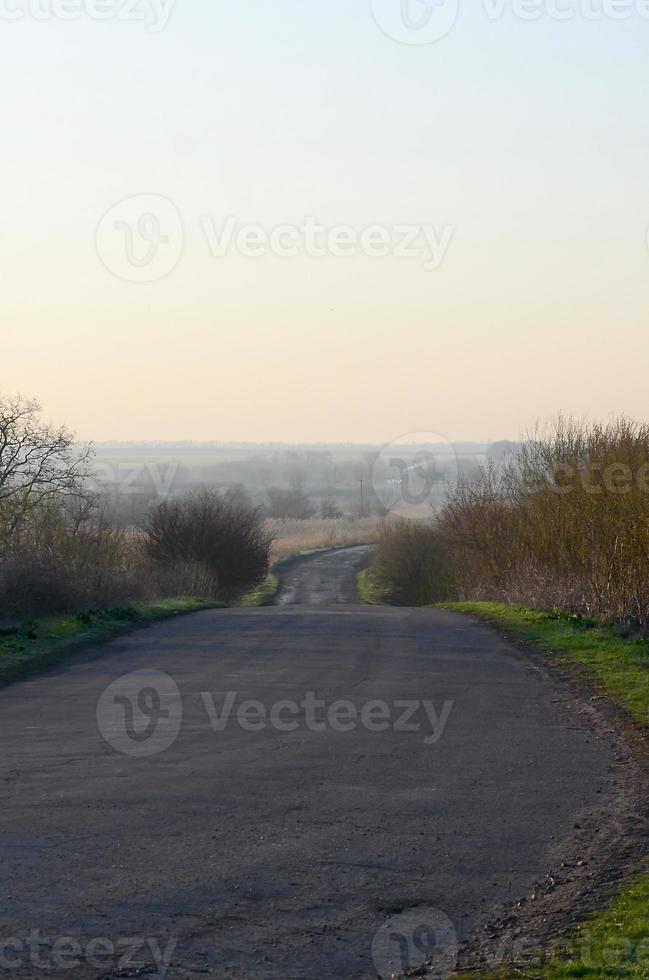 dageraad in de dorp. asfalt weg, weggaan ver in de afstand tussen de velden foto