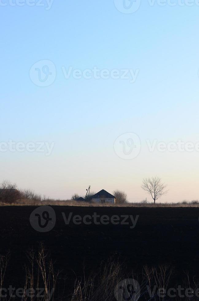 dageraad in de dorp. een minimalistisch foto met een horizon lijn Aan welke Daar is een appartement huis en een boom