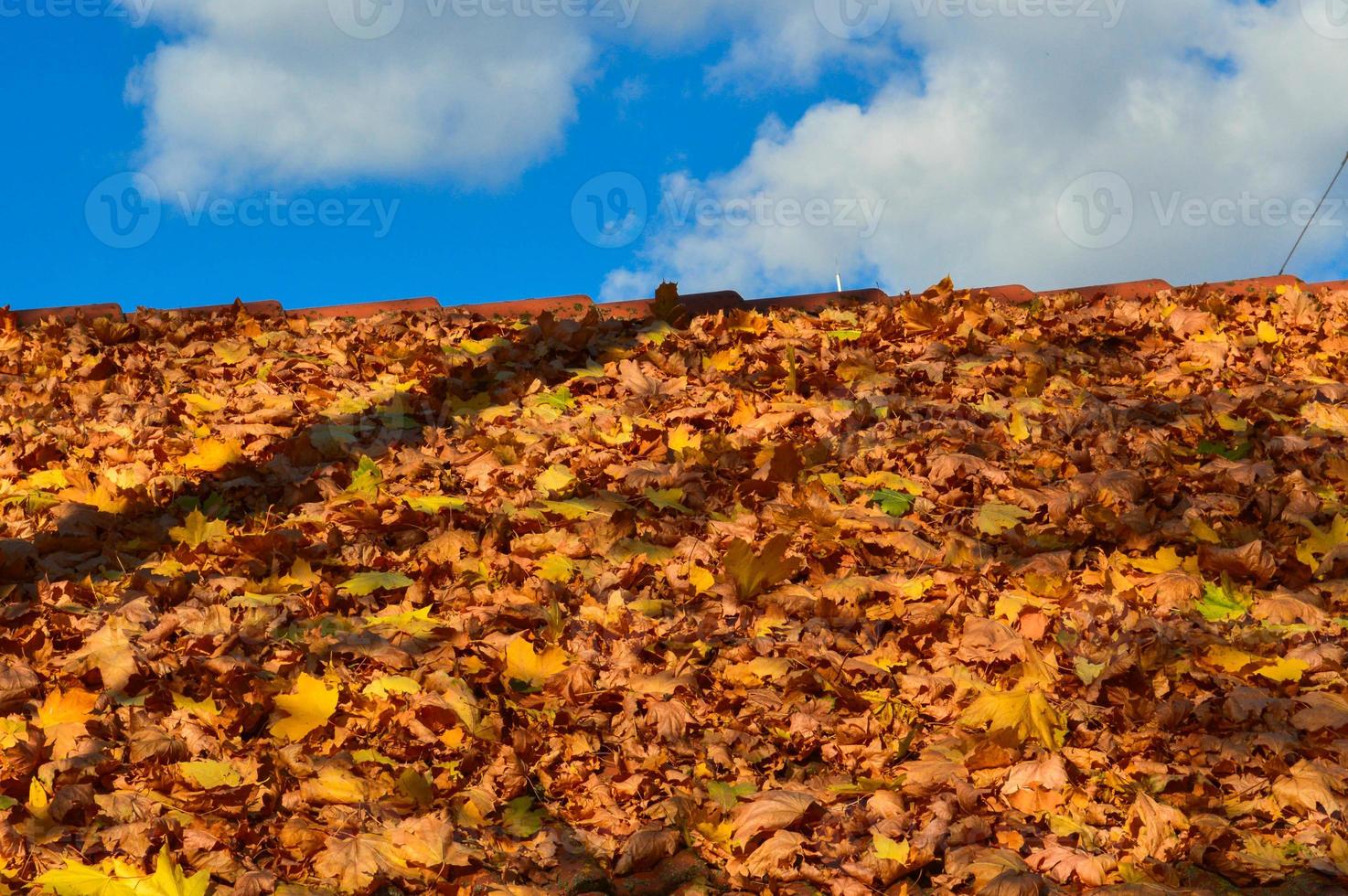 mooi hellend hellend tregolnaya dak van de huis van rood tegels gedekt met een laag van herfst geel gedaald bladeren. de achtergrond foto