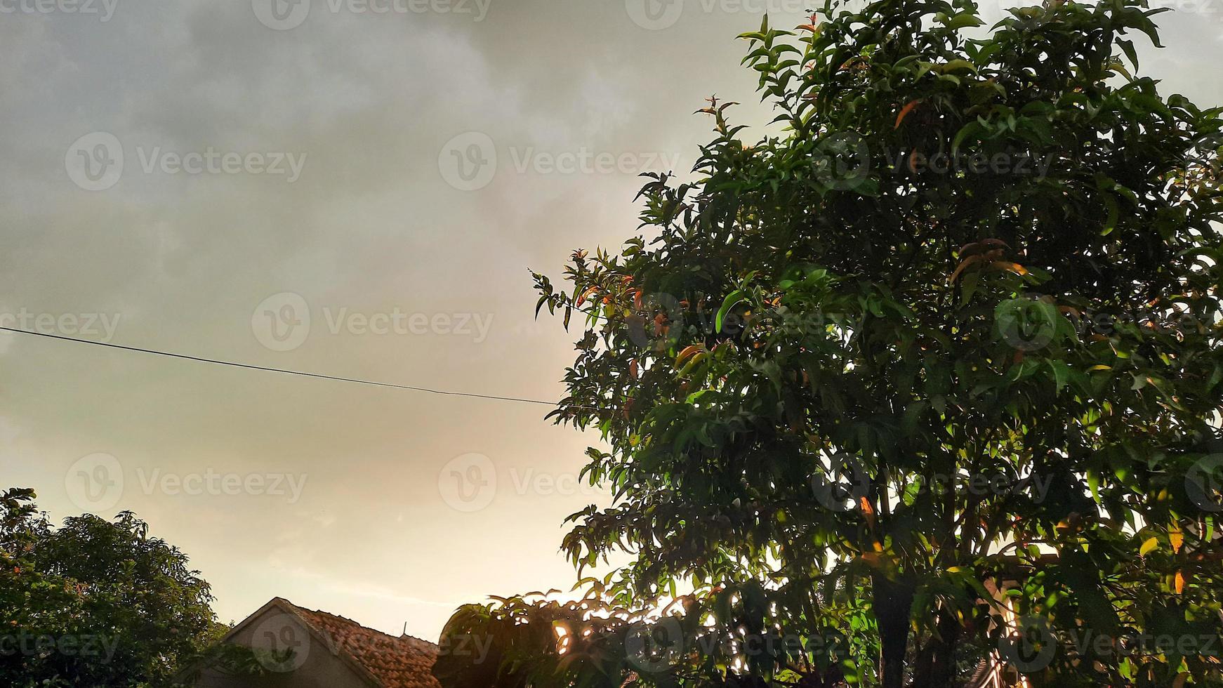 visie van bewolkt wolken met zonneschijn tussen de bomen foto