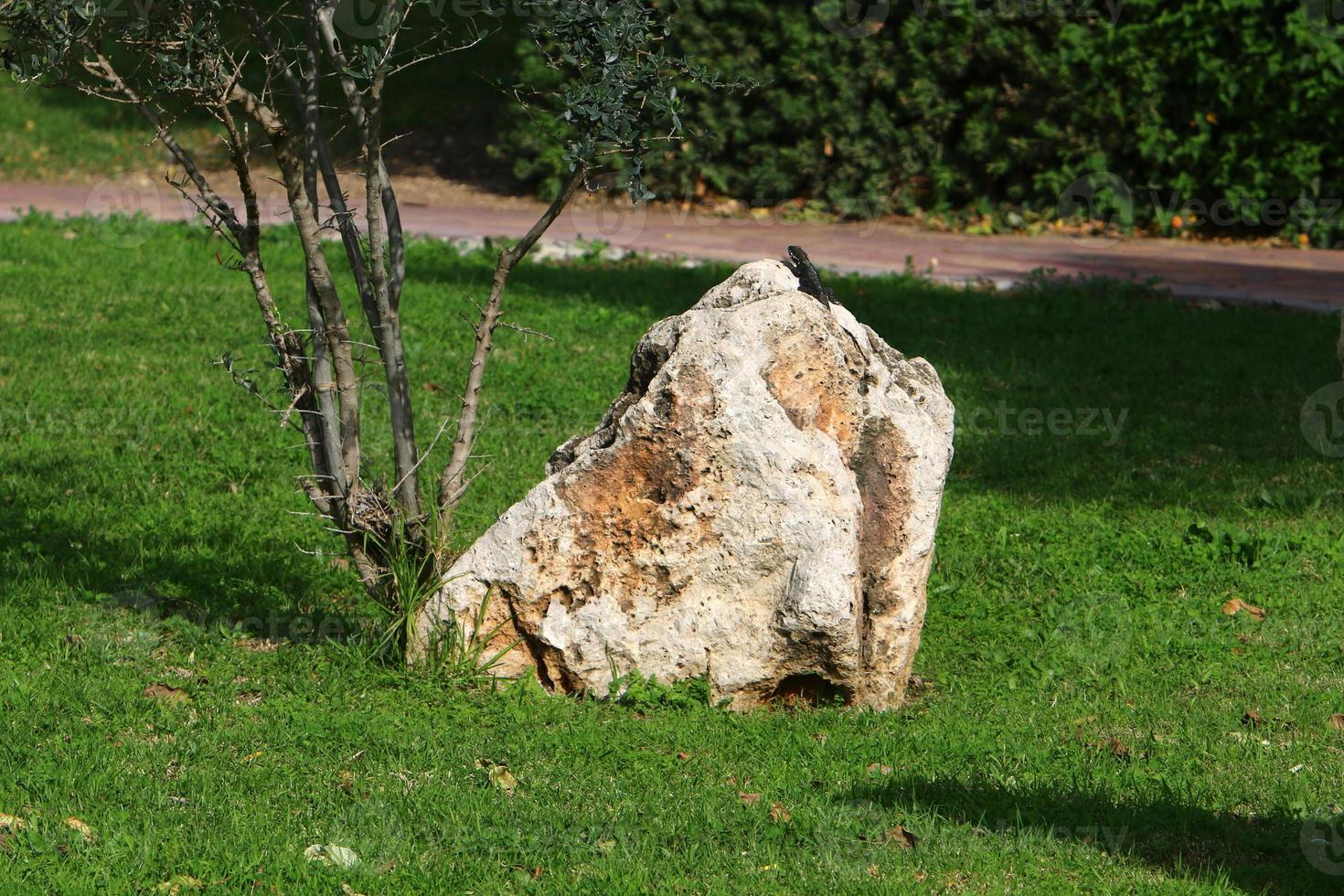 stenen in een stad park door de zee in noordelijk Israël foto