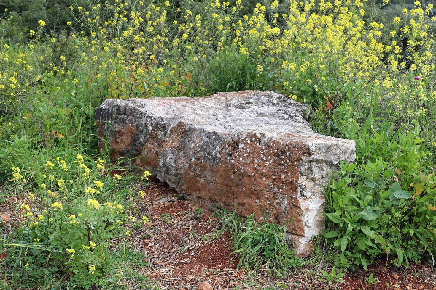 stenen in een stad park door de zee in noordelijk Israël foto