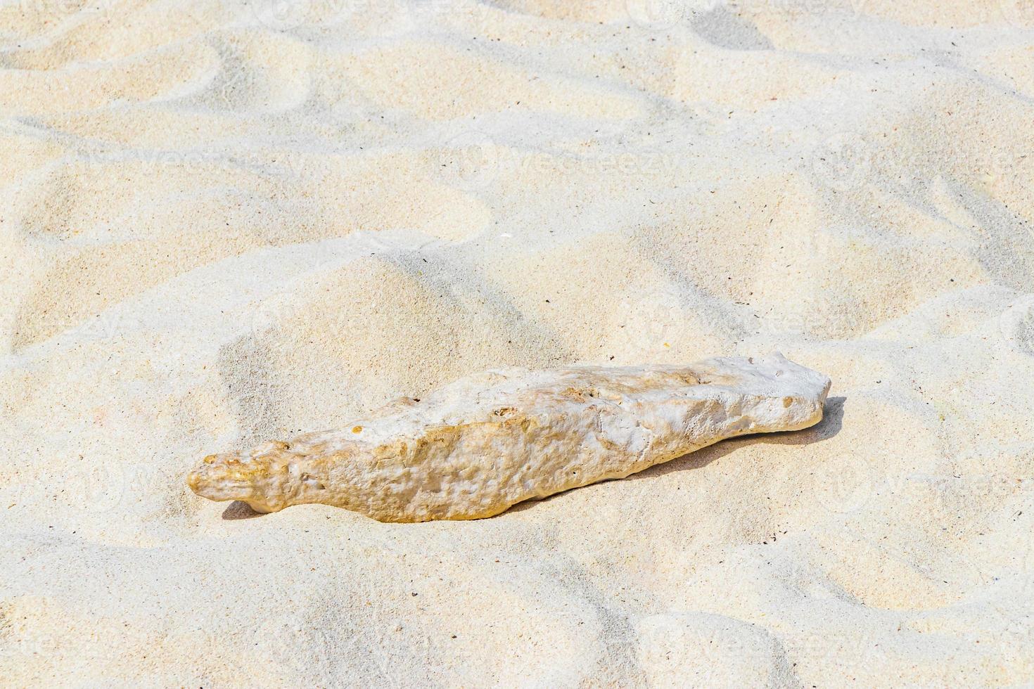 stenen schelpen koralen Aan strand zand playa del carmen Mexico. foto