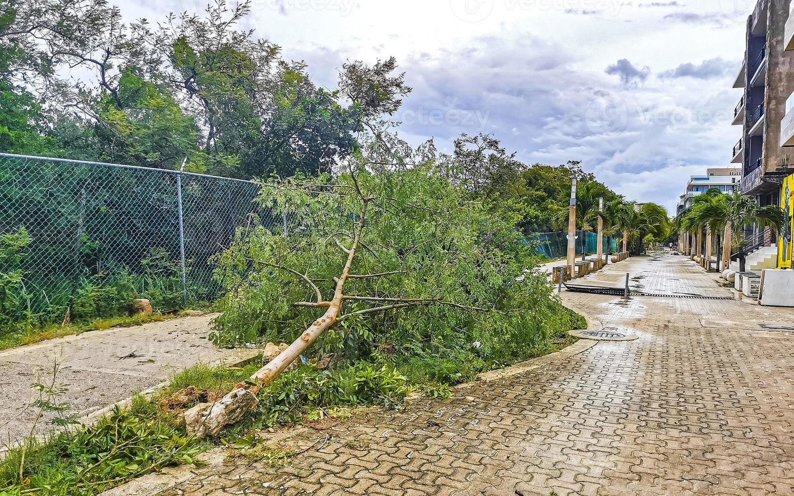 orkaan 2021 playa del carmen Mexico verwoesting verwoesting gebroken bomen. foto