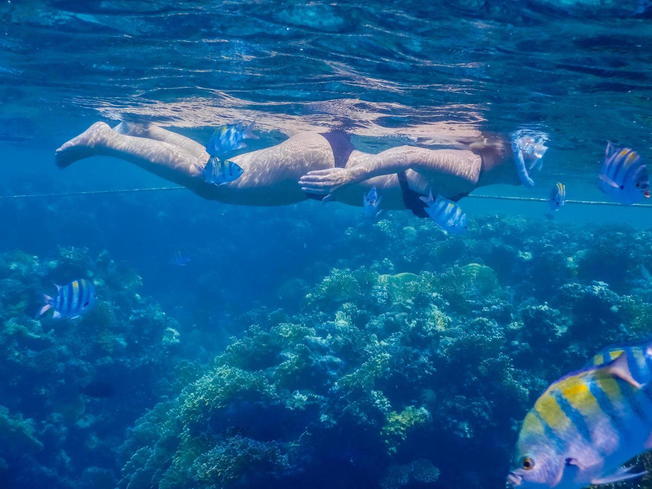 vrouw snorkelen in de Doorzichtig water Aan vakantie foto