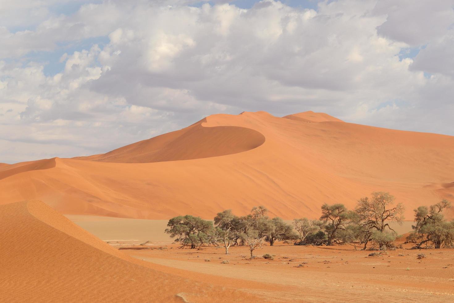 de namibwoestijn in zuidelijk afrika foto