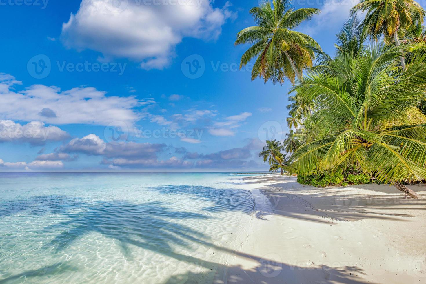 zomer reizen achtergrond. exotisch tropisch strand eiland, paradijs kust. palm bomen wit zand, verbazingwekkend lucht oceaan lagune. fantastisch mooi natuur achtergrond, zonnig dag idyllisch inspirerend vakantie foto