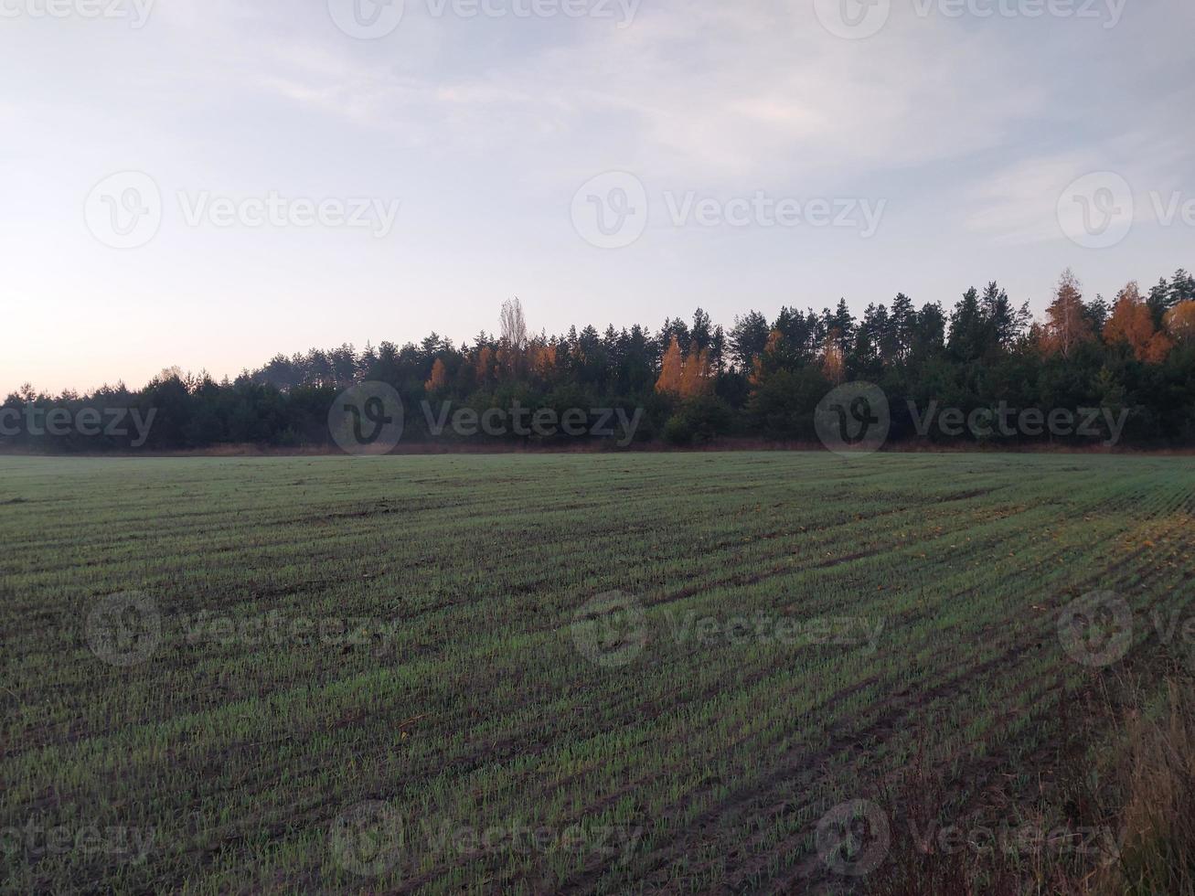 ochtend- en nacht panorama van dageraad foto