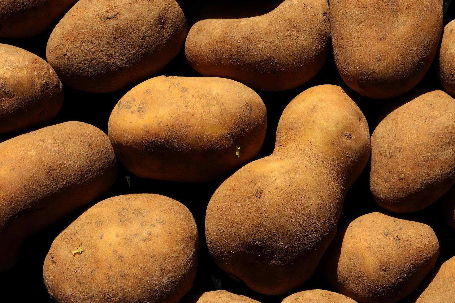 fotografie van stoffige aardappelen voor voedselachtergrond foto