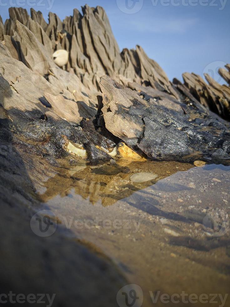 plas van water in een log Aan de strand foto