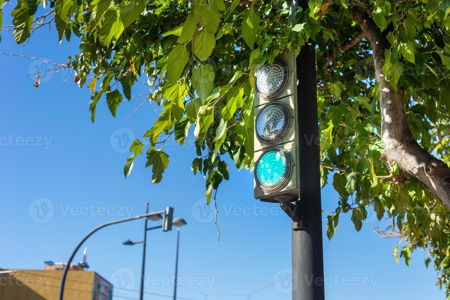 verkeer licht gloeit groen tussen de boom gebladerte Aan een zonnig dag foto