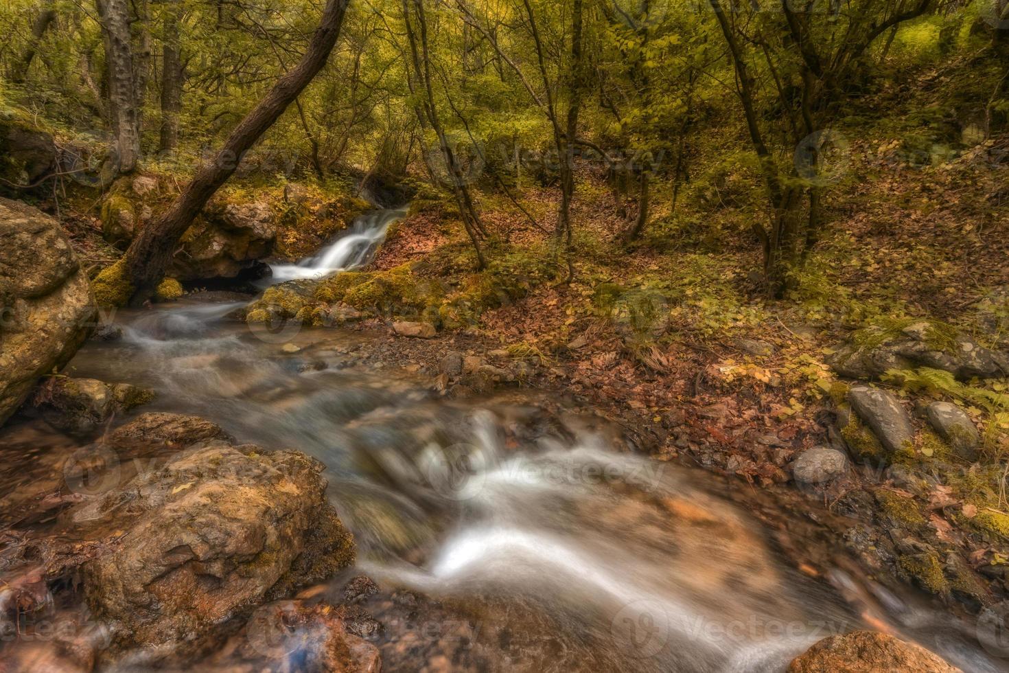 mooi herfst landschap met berg rivier- en kleurrijk bomen foto