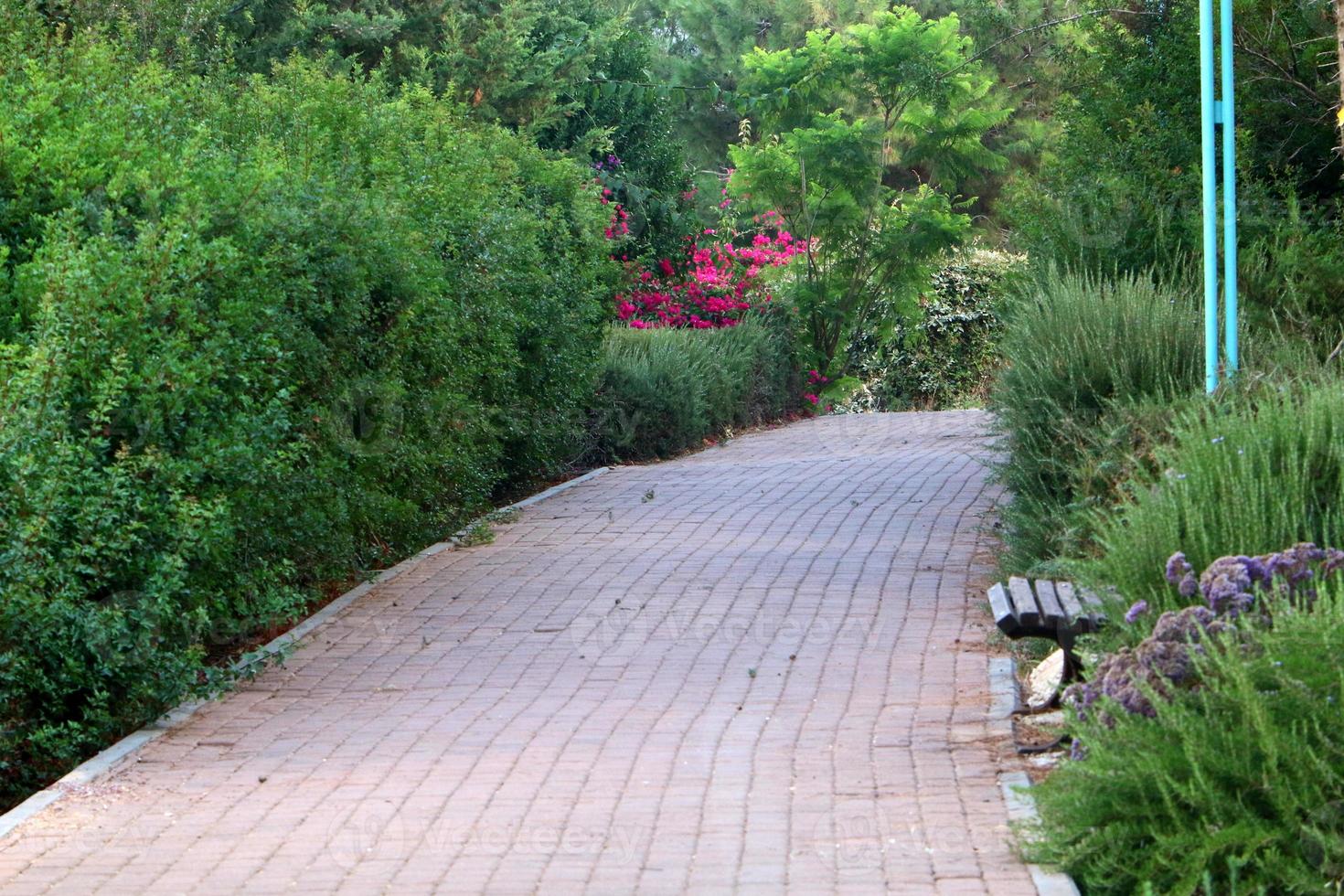 voetganger weg in de stad park Aan de kust. foto