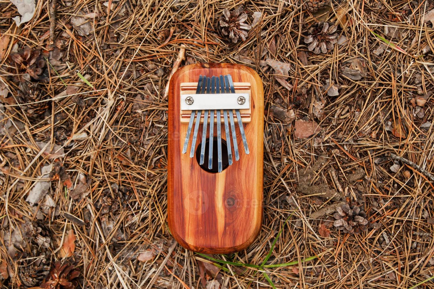 traditioneel Afrikaanse musical instrument kalimba Aan een achtergrond van naalden en kegels in een Woud, top visie. foto