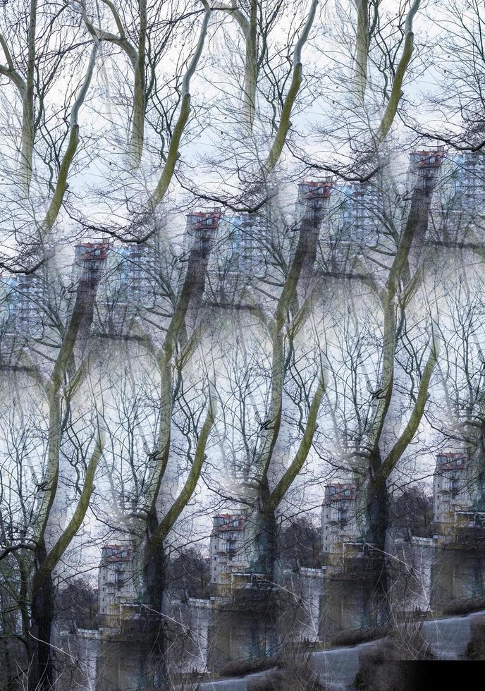 digitale illustratie abstracte bomen takken achtergrond foto