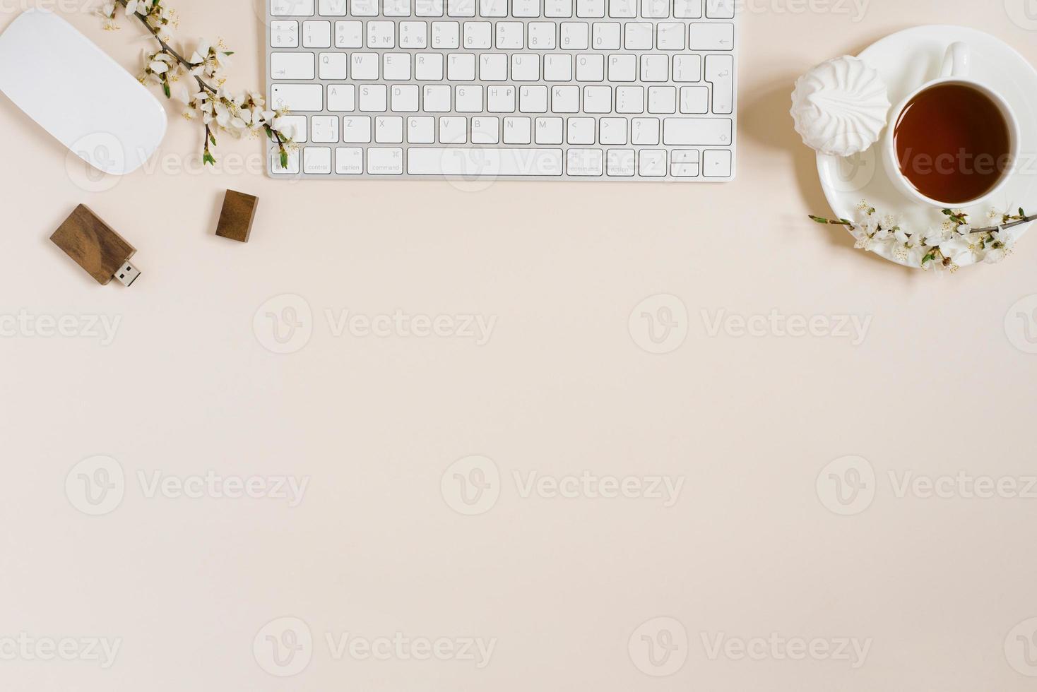 elegant vlak leggen voor een vrouw mode blogger. werkplaats van een freelancer of kantoor arbeider, een laptop, een kop van zwart thee, een heemst, een appel bloemen. kopiëren ruimte, top visie foto
