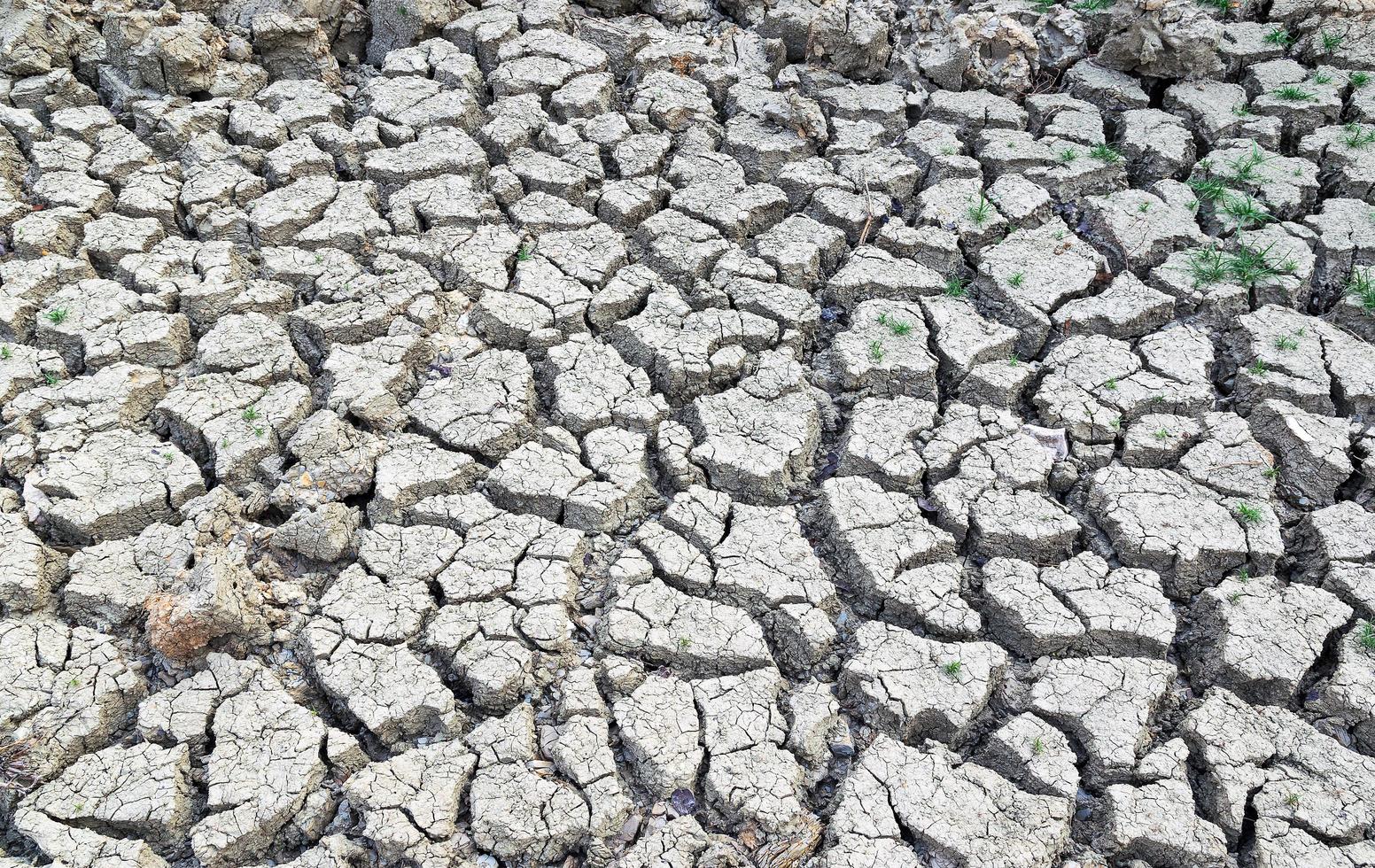 gebarsten aarde achtergrondstructuur. foto