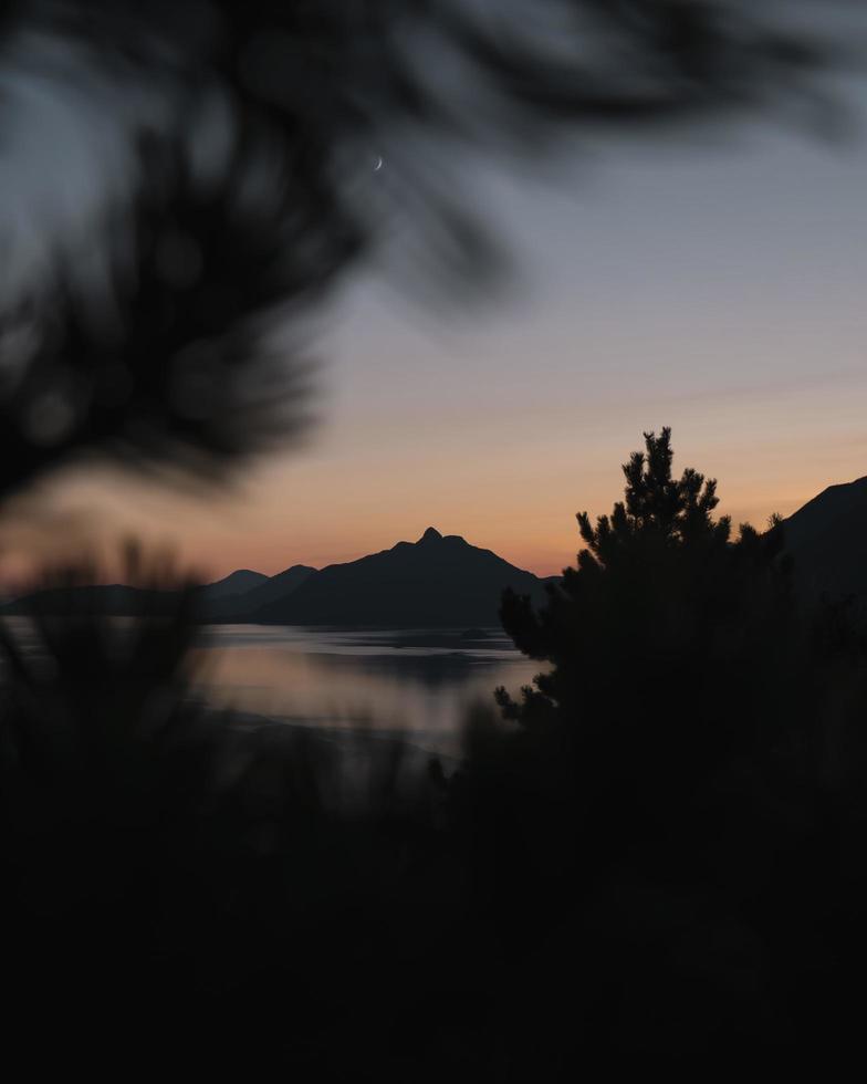 silhouet van bomen en zonsondergang. foto