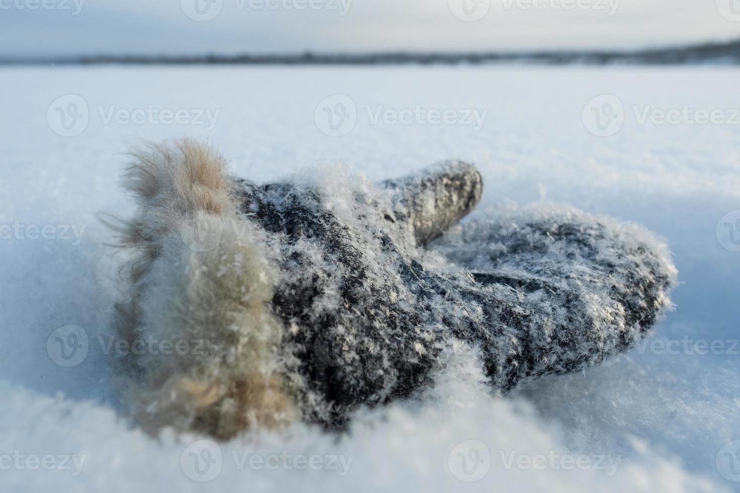 eenzaam warm vuisthandschoen met vacht in de sneeuw, Aan een wazig achtergrond, Aan een ijzig winter dag. verloren ding. bodem visie. foto