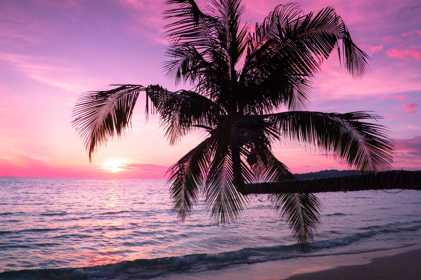 mooi zonsondergang tropisch strand met palm boom en blauw lucht voor reizen en vakantie in vakantie kom tot rust tijd foto