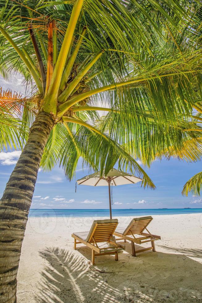 strand bedden stoelen onder paraplu en palm boom. detailopname wit zand zee verticaal strand natuur. verbazingwekkend idyllisch strand vakantie zomer vakantie. luxe paar romance reis, rustig, zonnig ontspanning foto