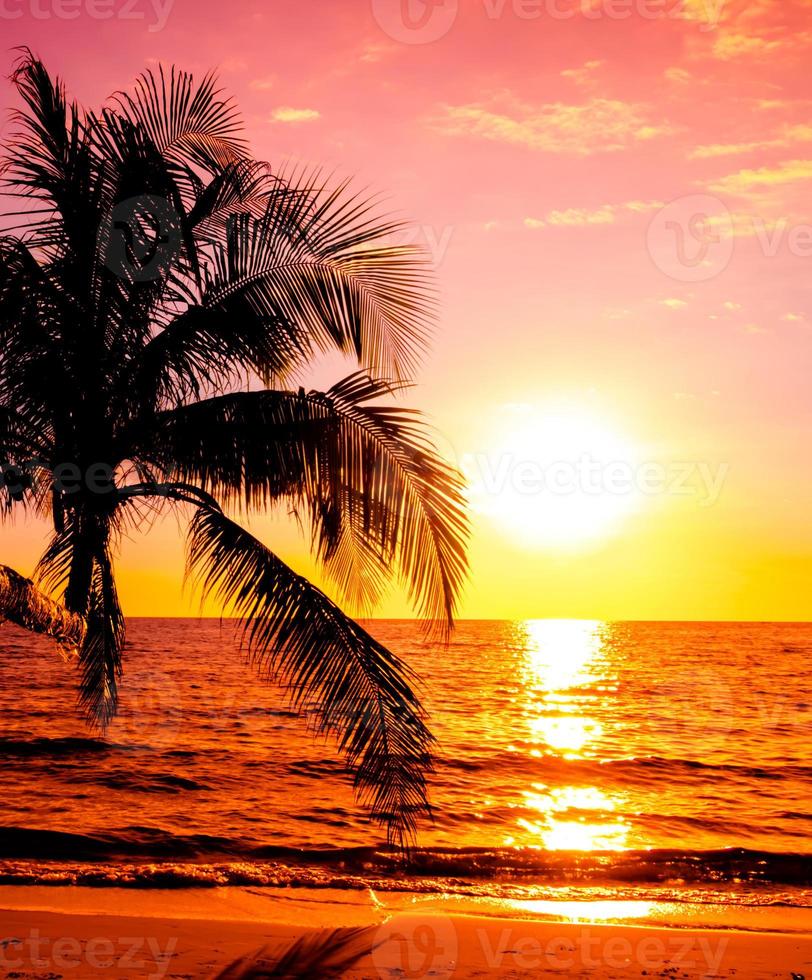 zonsondergang over- de zee met palm bomen Aan de tropisch zee strand achtergrond voor reizen in vakantie kom tot rust tijd foto