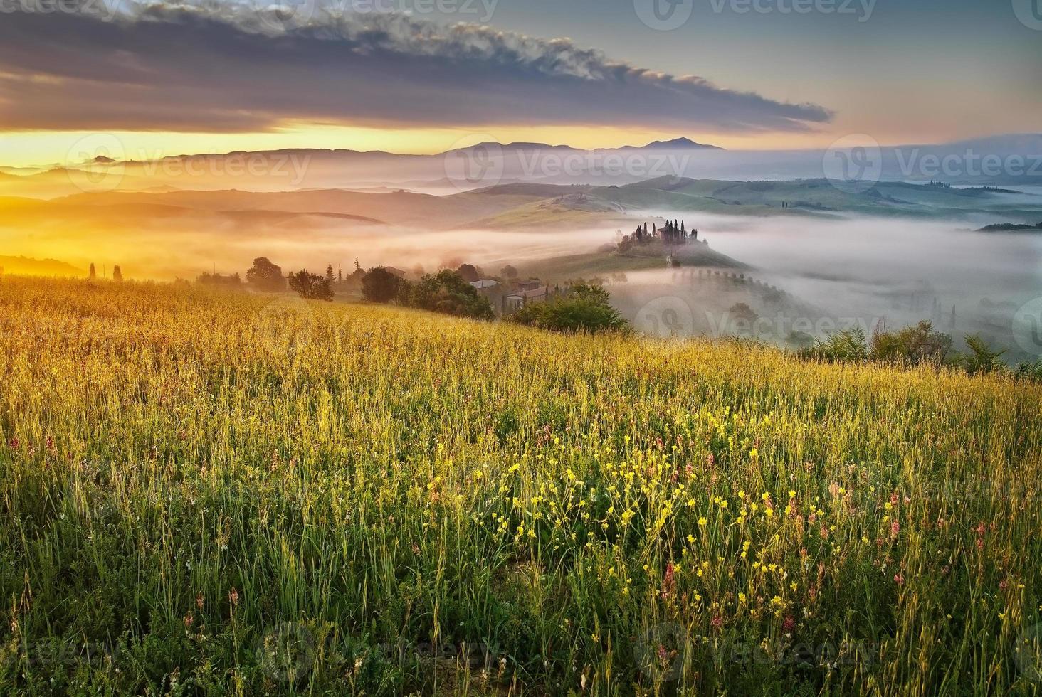 velden en mist in het Toscaanse landschap foto