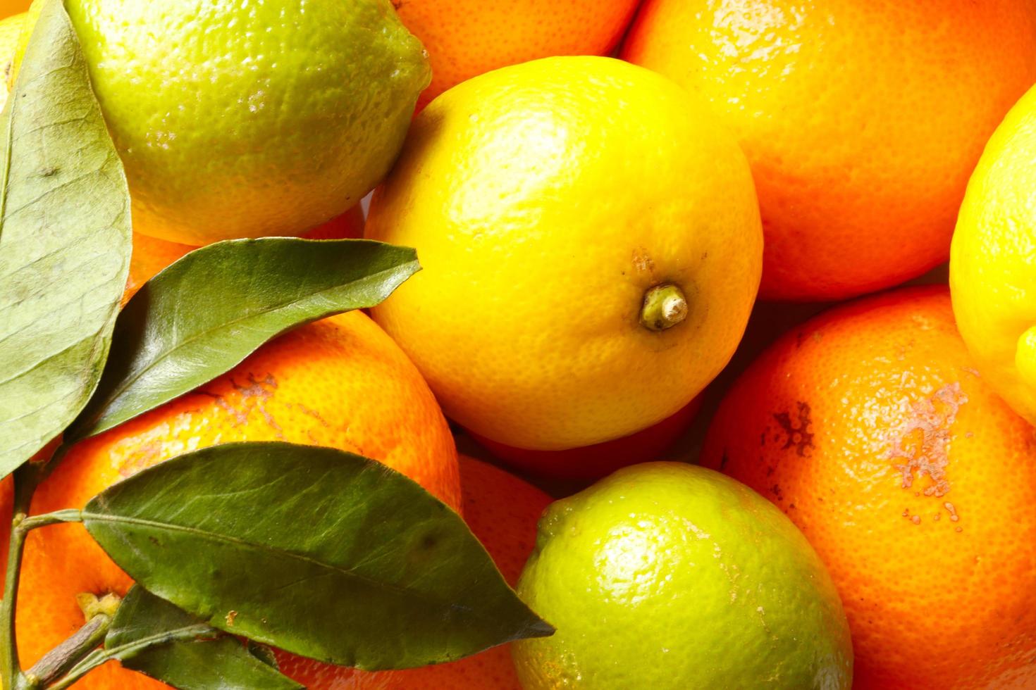 verschillende citrusvruchten foto