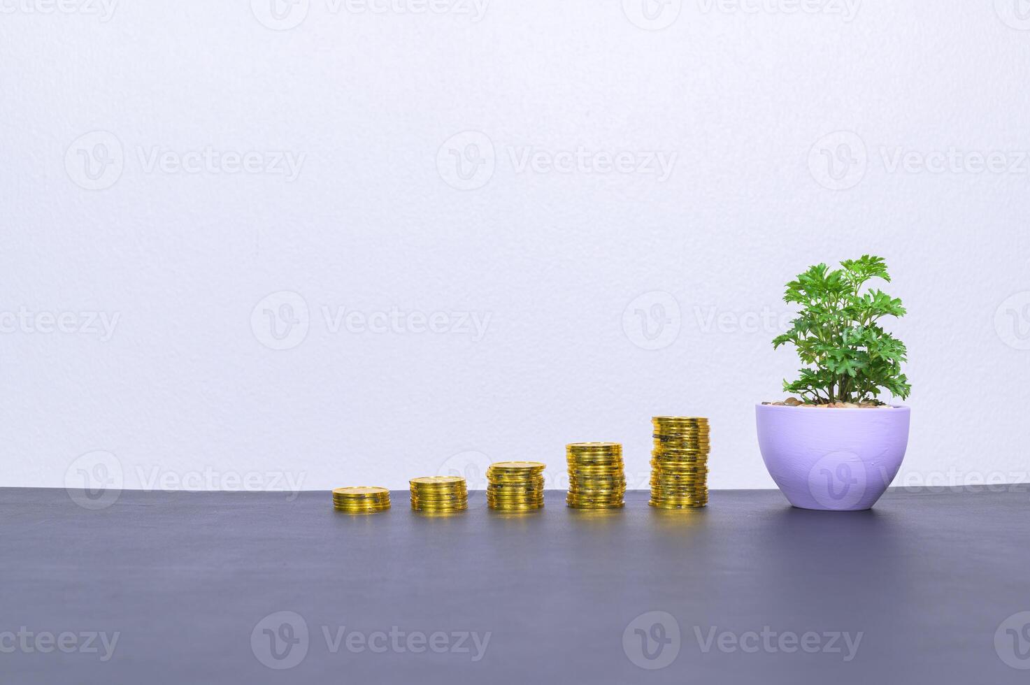 munten en een plant op het bureau foto