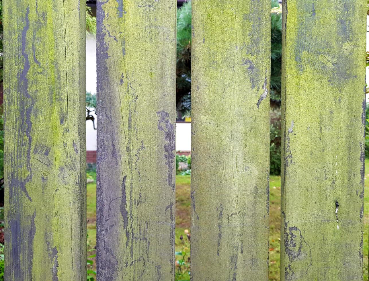 oud hout hek met licht hiaten. een dichtbij plan van de vier borden met grijs en groen mos. foto