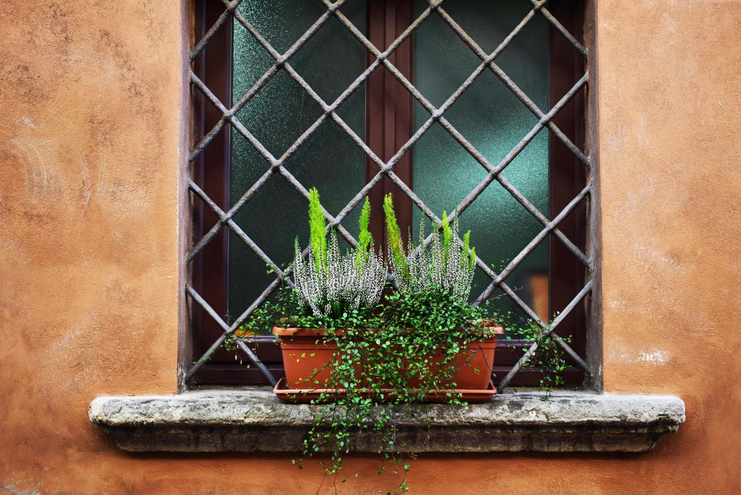 potplanten op rustieke vensterbank foto