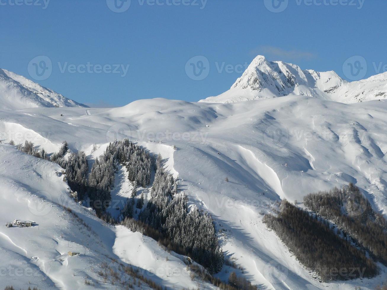 betoverd landschap na hevige sneeuwval foto