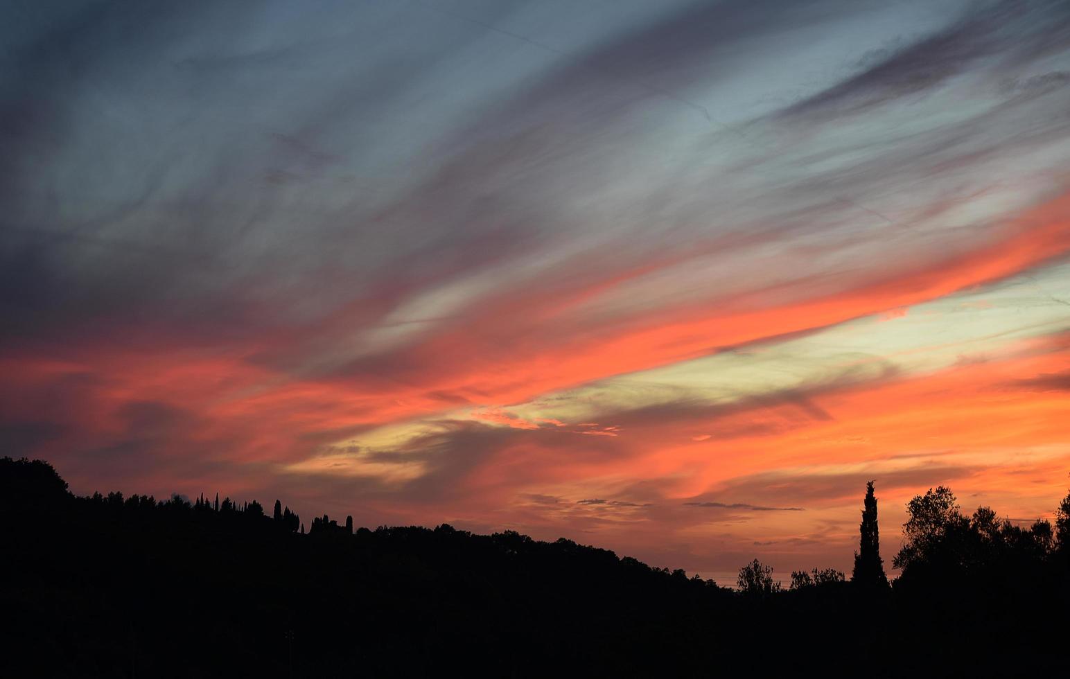 silhouet van bomen tijdens zonsondergang foto