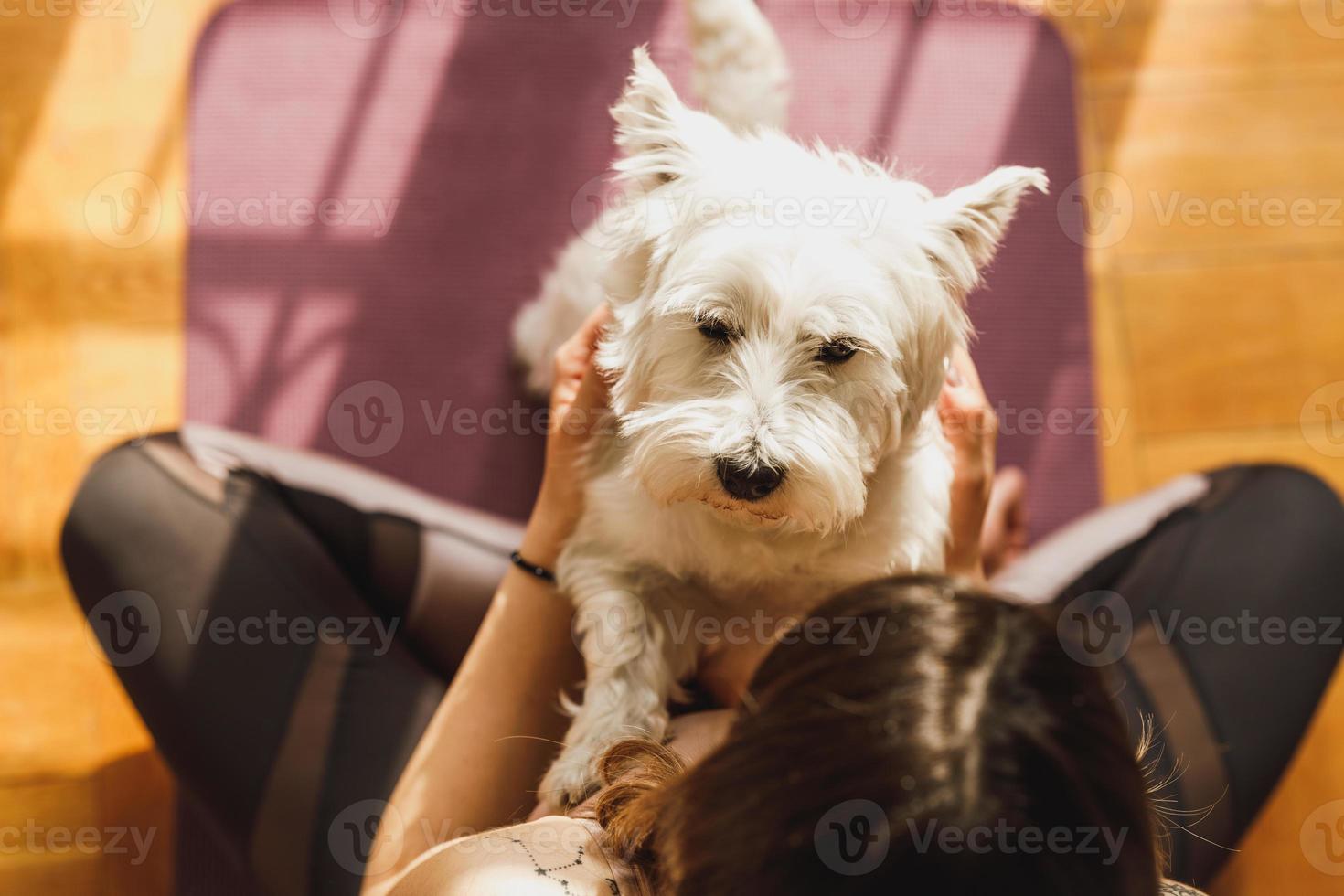 vrouw spelen met haar huisdier hond in ochtend- zonneschijn foto