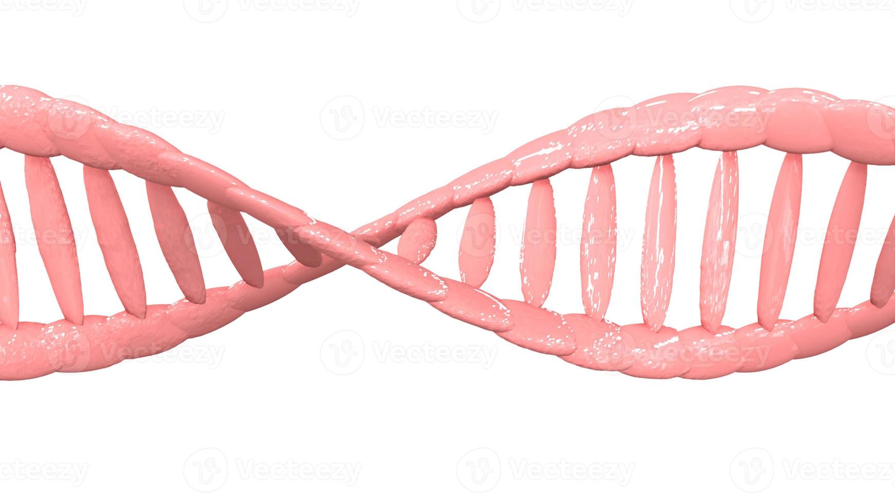 dna 3d strand Aan wit achtergrond, dichtbij omhoog foto