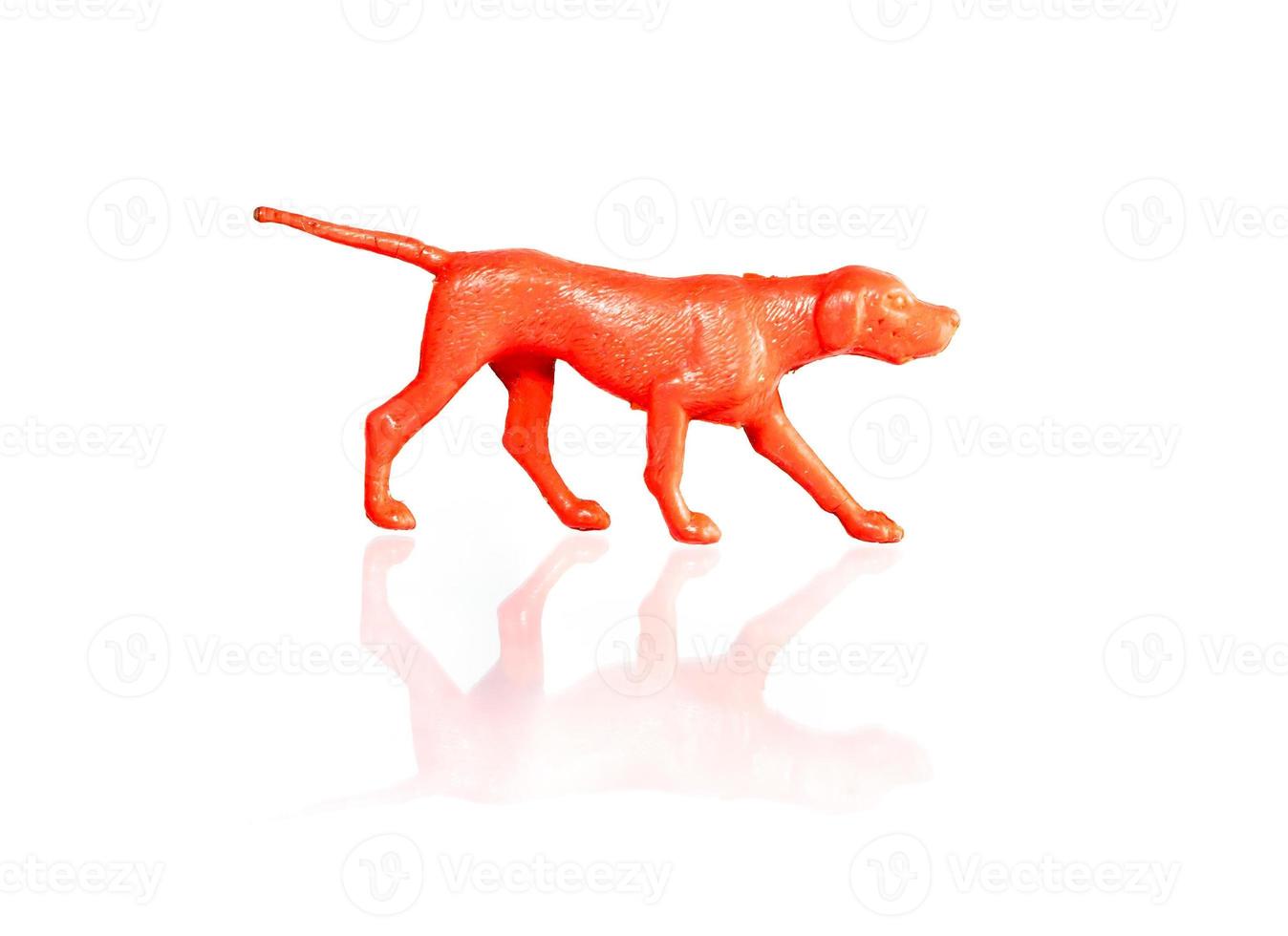 rood hond figuur Aan wit achtergrond, Russisch hond foto